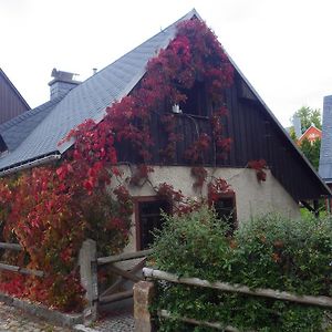 Ferienhaus Frieda Villa Altenberg  Exterior photo