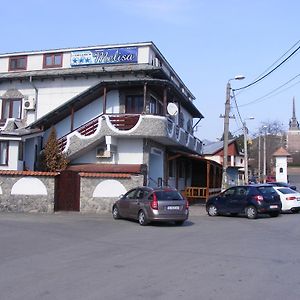 Pensiunea Melisa Hotel Tulcea Exterior photo