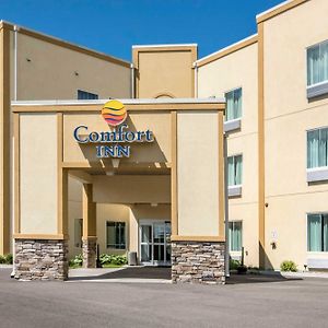 Comfort Inn Apalachin - Binghamton W Route 17 Exterior photo