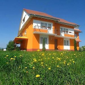 Vila Vlad Hotel Târgu Neamţ Exterior photo