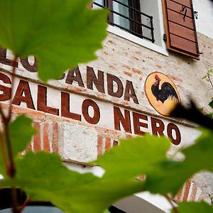 Al Gallo Nero Hotel Borgoricco Exterior photo