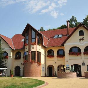 Brauer Panzio Guest House Mecseknádasd Exterior photo