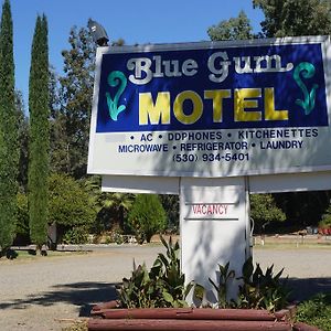 Blue Gum Motel Willows Exterior photo