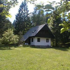 Apartmaji In Sobe Bohinjsko Jezero Hotel Ukanc Exterior photo