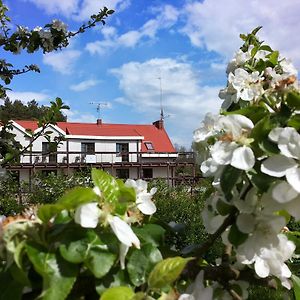 "Osada Lesna Zamordeje" Mazury Bed & Breakfast Exterior photo