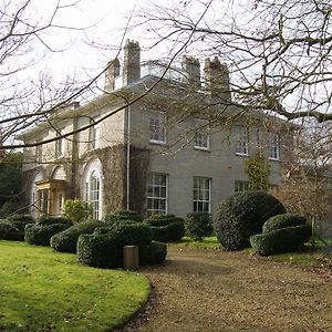 The Lynch Country House Bed & Breakfast Somerton  Exterior photo