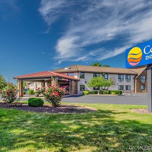 Comfort Inn & Suites West Springfield Exterior photo