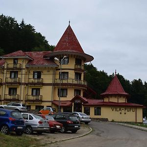 Vila Pufu Hotel Slănic Moldova Exterior photo