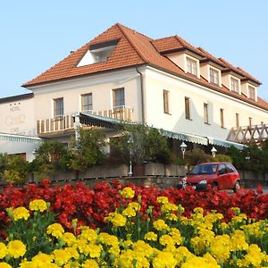 Hotel Geier Bad Schönau Exterior photo