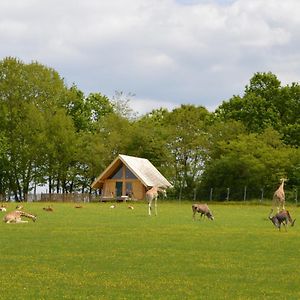 Les Lodges Du Reynou Le Vigen Exterior photo