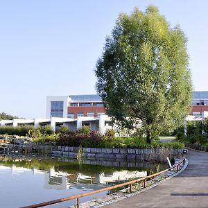 Seminarhotel In Der Manfred-Sauer-Stiftung Lobbach Exterior photo