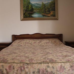 Gostyniy Dvir Synevir Hotel Sinevir Room photo