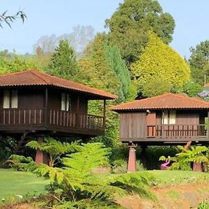 Quinta Das Eiras Hotel Santo Antonio da Serra Exterior photo