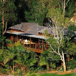 Wollumbin Palms Rainforest Retreat Villa Uki Exterior photo