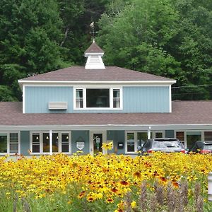 The Little Lion Motel Great Barrington Exterior photo