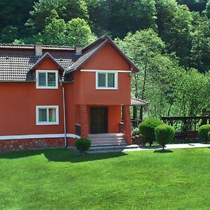 Casa Retezat Villa Rîu de Mori Exterior photo