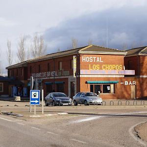 Hostal Los Chopos Hotel Osorno Exterior photo