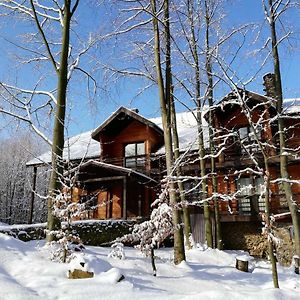 Bird Valley Hotel Sîneak Exterior photo