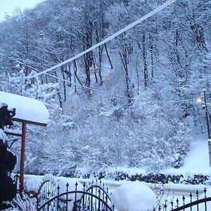 Тушер Hotel Rahău Exterior photo