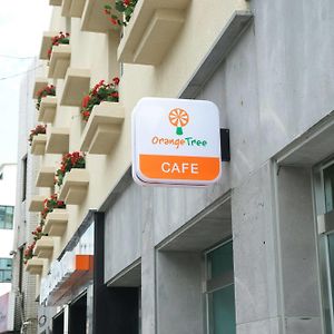 Orange Tree Hotel Jeju Exterior photo