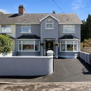 Chestnut House, Beautiful, spacious&comfortable Villa Belfast Exterior photo