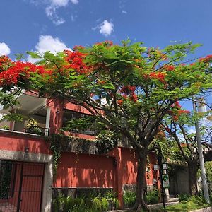 Hotel Arbol De Fuego San Salvador Exterior photo