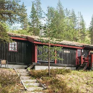 Awesome Home In Rendalen With Kitchen Exterior photo