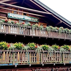 Penzion Haltmar Hotel Ostružná Exterior photo