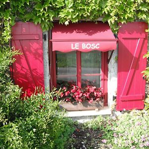 Le Bosc Bed & Breakfast Anthé Exterior photo