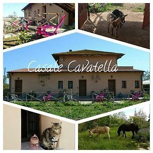 Casale Cavatella Bed & Breakfast Sermoneta Exterior photo