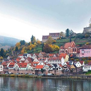 Neckarblick,Natur, Altstadt Apartment Hirschhorn Exterior photo