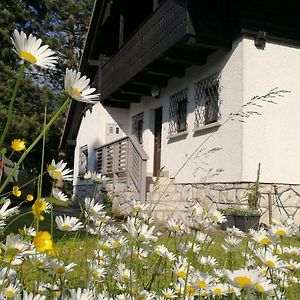 River House Hrib Villa Preddvor Exterior photo