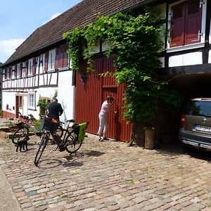 Feriengaleriewohnung Im Denkmal Stilvoll-Komfortabel Baubiologisch Erlenbach  Exterior photo