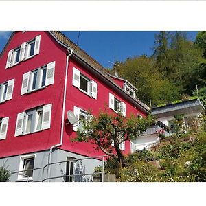 Talstadtblick Apartment Schramberg Exterior photo