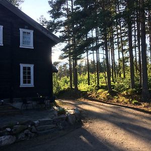 Breiva Gjestegaard Og Glamping Apartment Bo (Telemark) Exterior photo