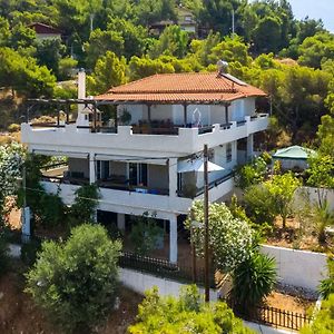 Saronic Seafront Villa Salamís Exterior photo