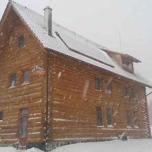 Valea Vistisoarei Villa Vistisoara Exterior photo