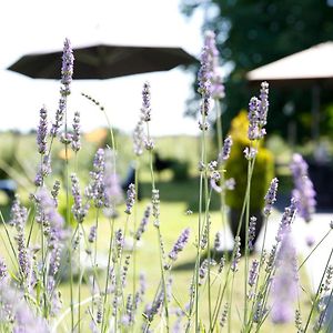 Nature&Chateaux Hotel Villandry Exterior photo