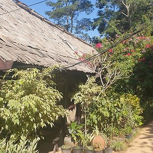 Nong Kiau Riverside Hotel Nongkhiaw Exterior photo