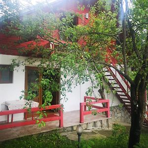 Casa Bordei Hotel Slănic Exterior photo