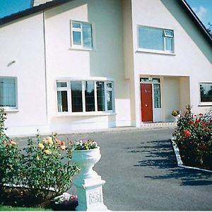 Nephin Bed & Breakfast Ballinasloe Exterior photo