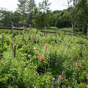 Chester Farmhouse On 100 Acres, 15 Min To Okemo! Villa Exterior photo