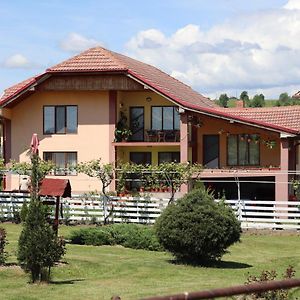 Casa de vacanta Madalina Hotel Novaci Străini Exterior photo