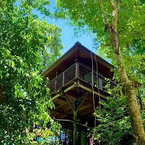 Cairns Rainforest Retreat Hotel Exterior photo