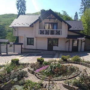 Villa Medova Cosău Exterior photo