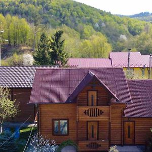 Котедж "Хата Рибака" Hotel Cosău Exterior photo